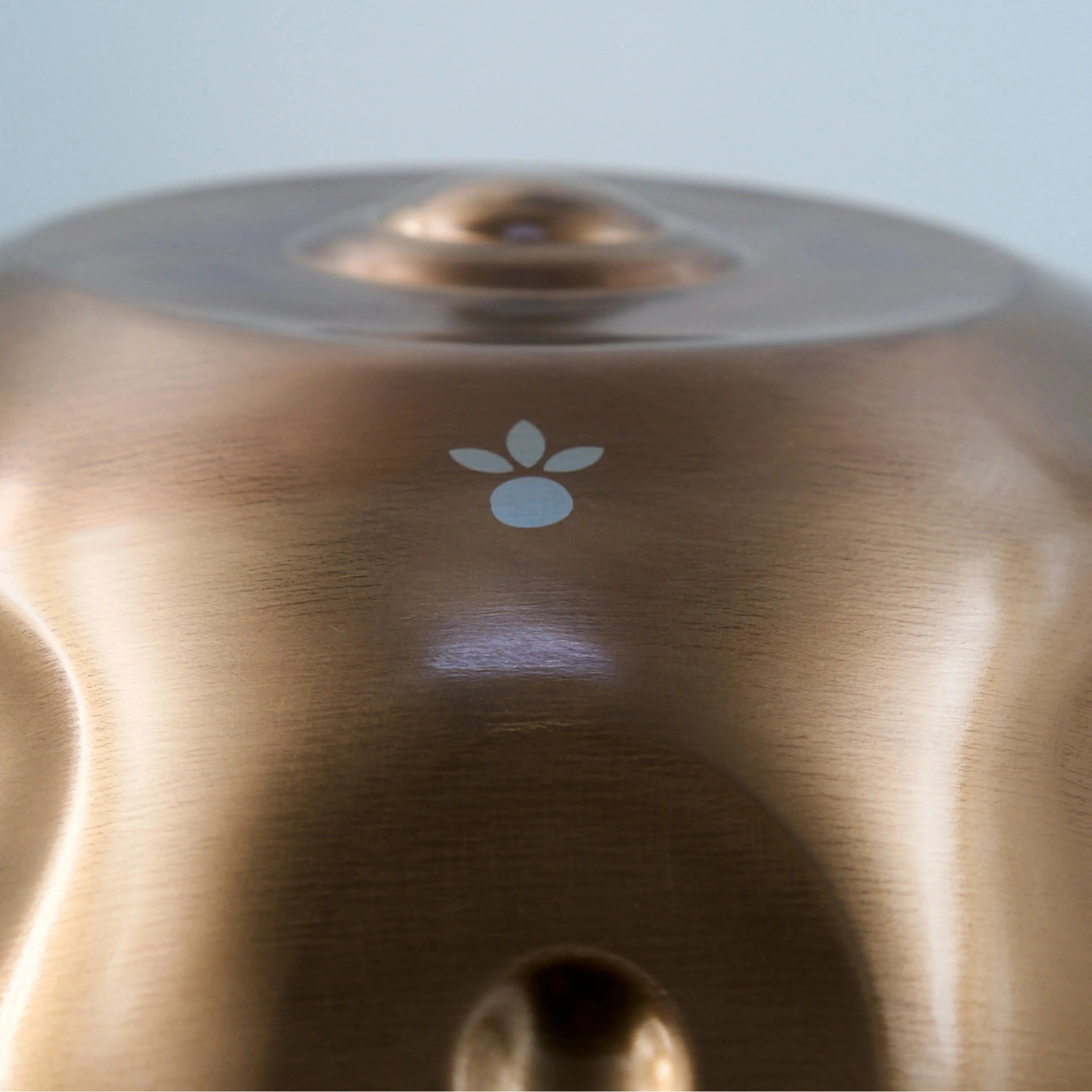 HPL Starter D Kurd 10 - 432 Hz | Miete