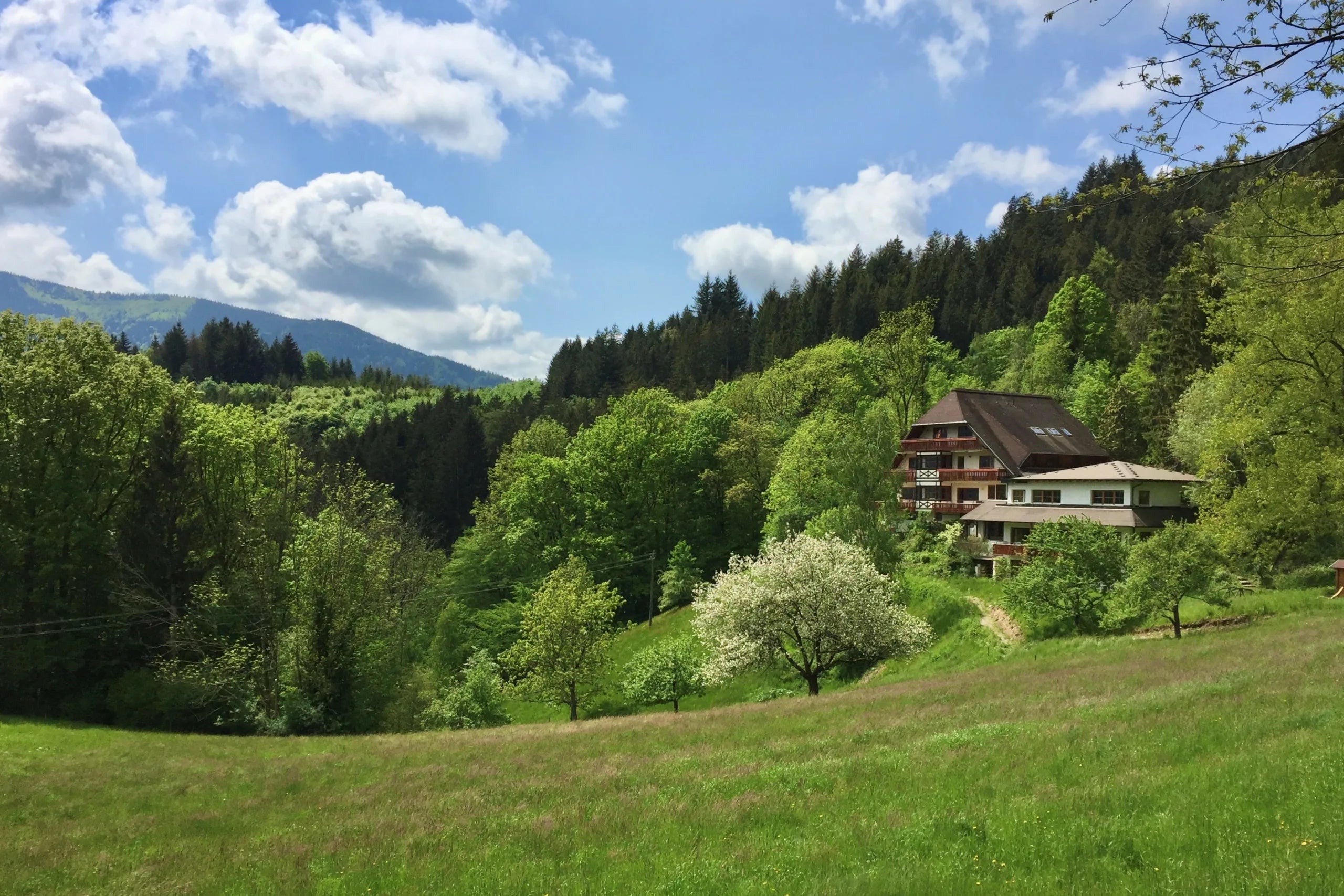 4-Tage Handpan Retreat in Steinweiden