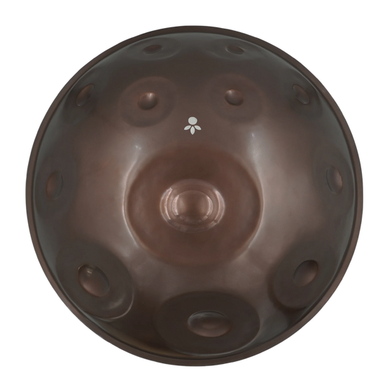 Handpan Master F# Low Pygmy 21, Prototyp-Einzelstück (gebraucht) – Draufsicht auf die Tonfelder, handpanladen