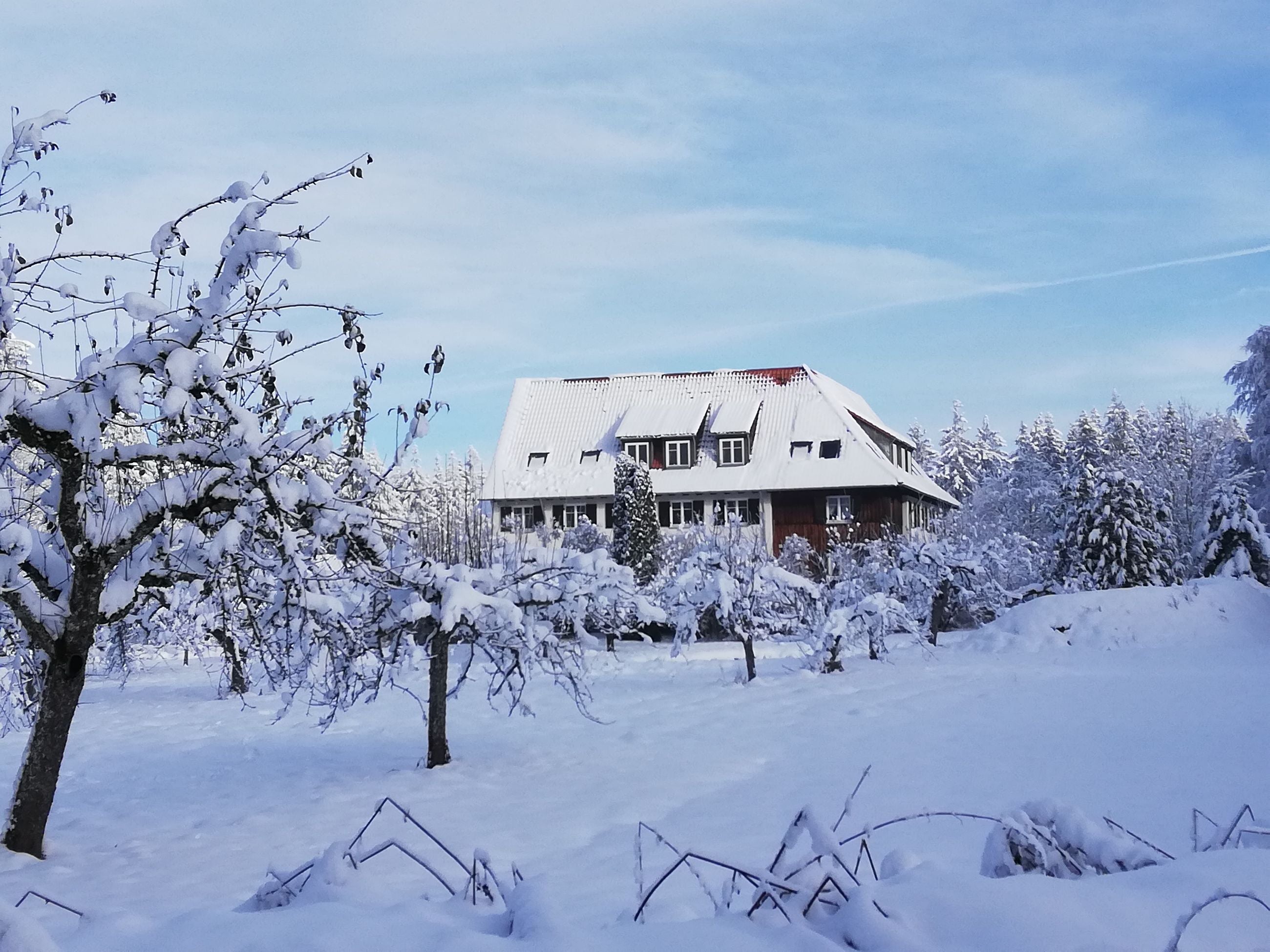4-Tage Handpan Retreat Lindenhof