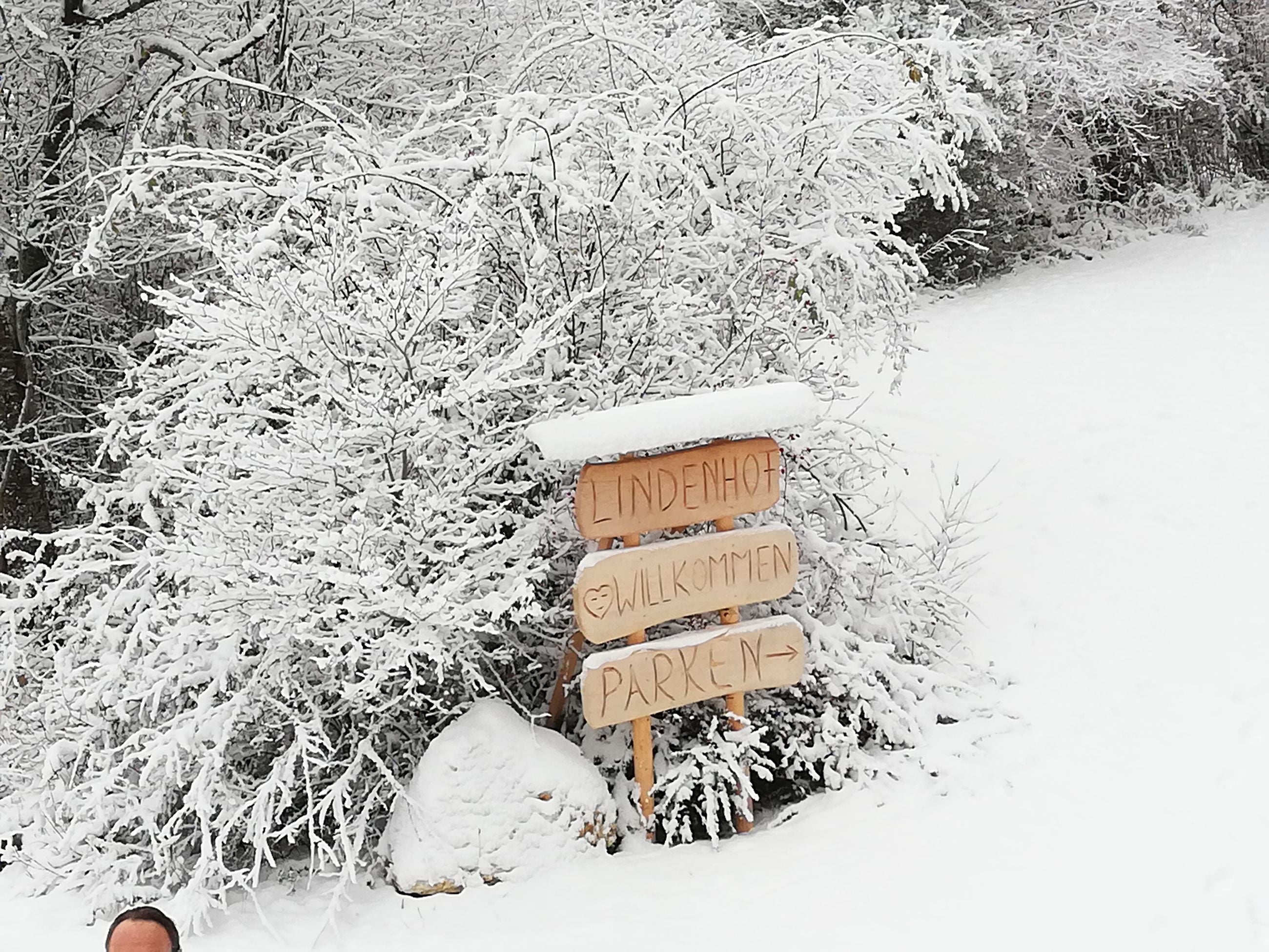 4-Tage Handpan Retreat Lindenhof