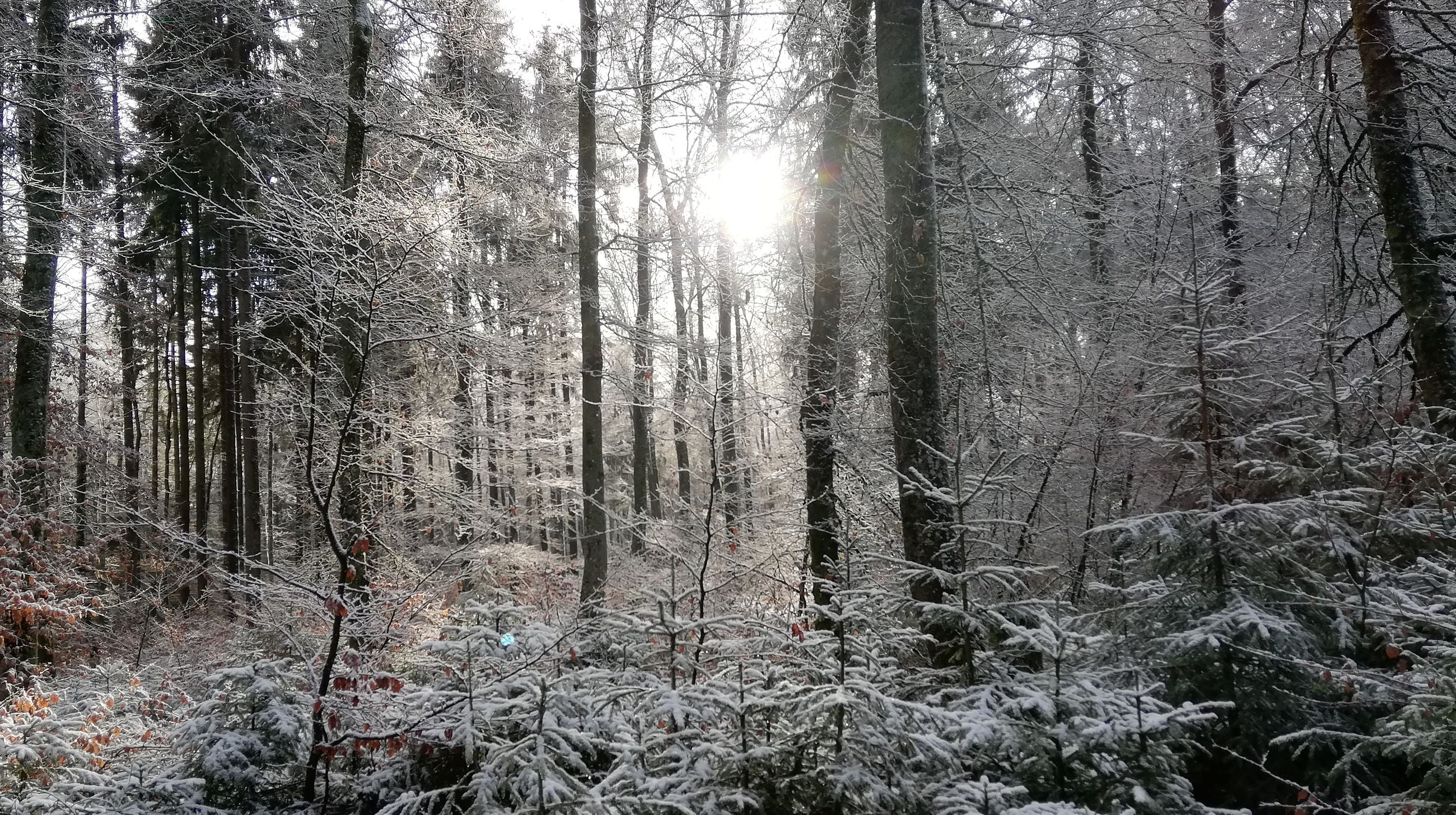 4-Tage Handpan Retreat Lindenhof