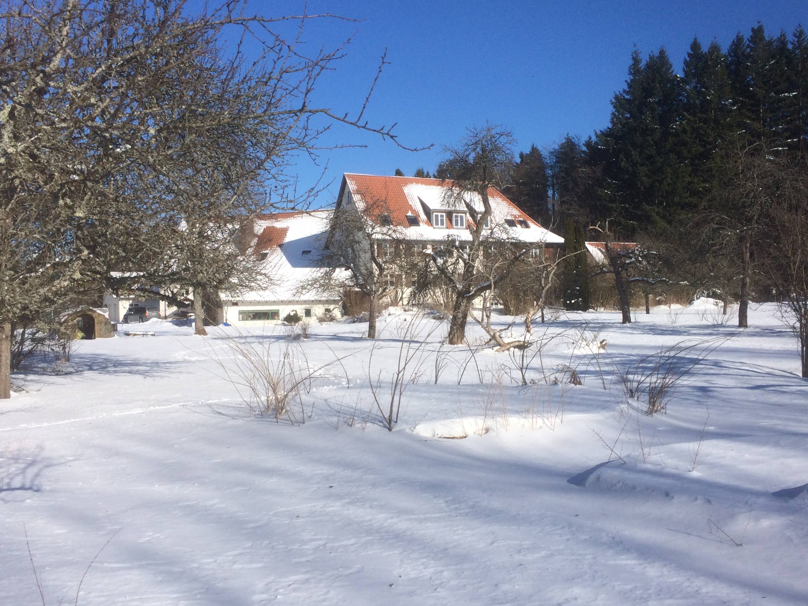 4-Tage Handpan Retreat Lindenhof