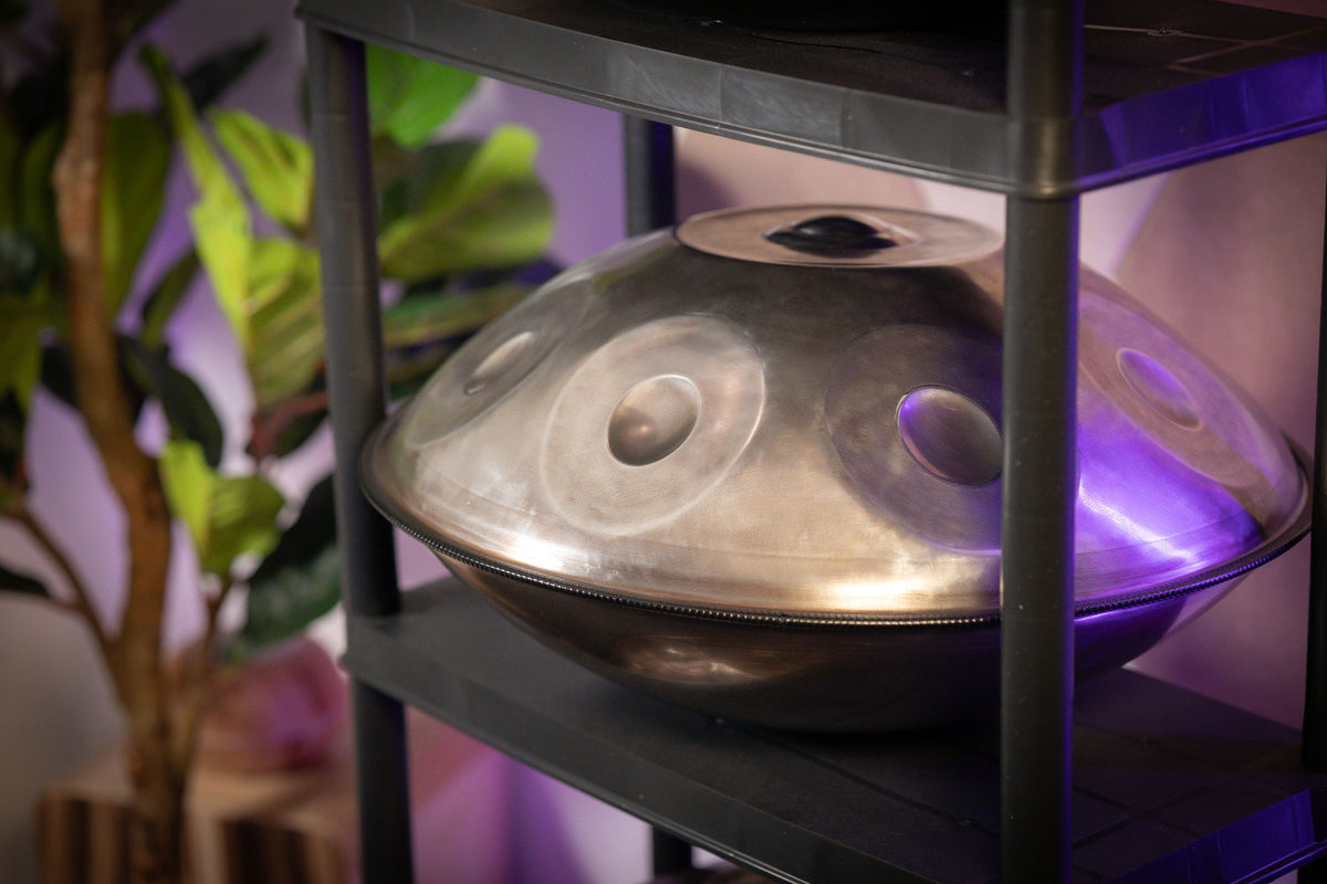 Silberne Handpan auf einem schwarzen Regal, daneben eine Zimmerpflanze