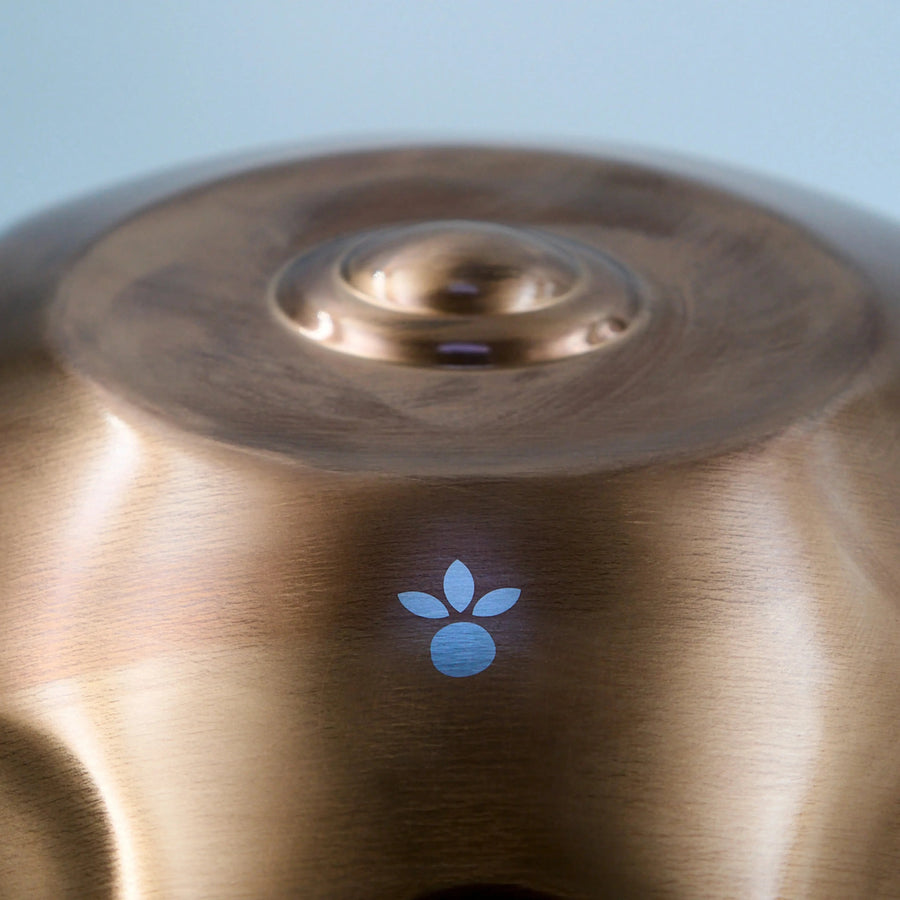 Nahaufnahme eines Tonfelds einer hpl starter Handpan mit Logo