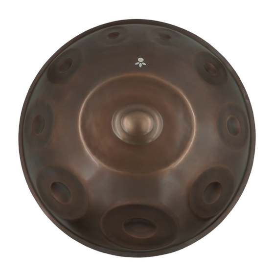 Handpan Master C Ysha Savita 14 (432 Hz), Prototyp-Einzelstück gebraucht – Draufsicht Tonfelder, handpanladen