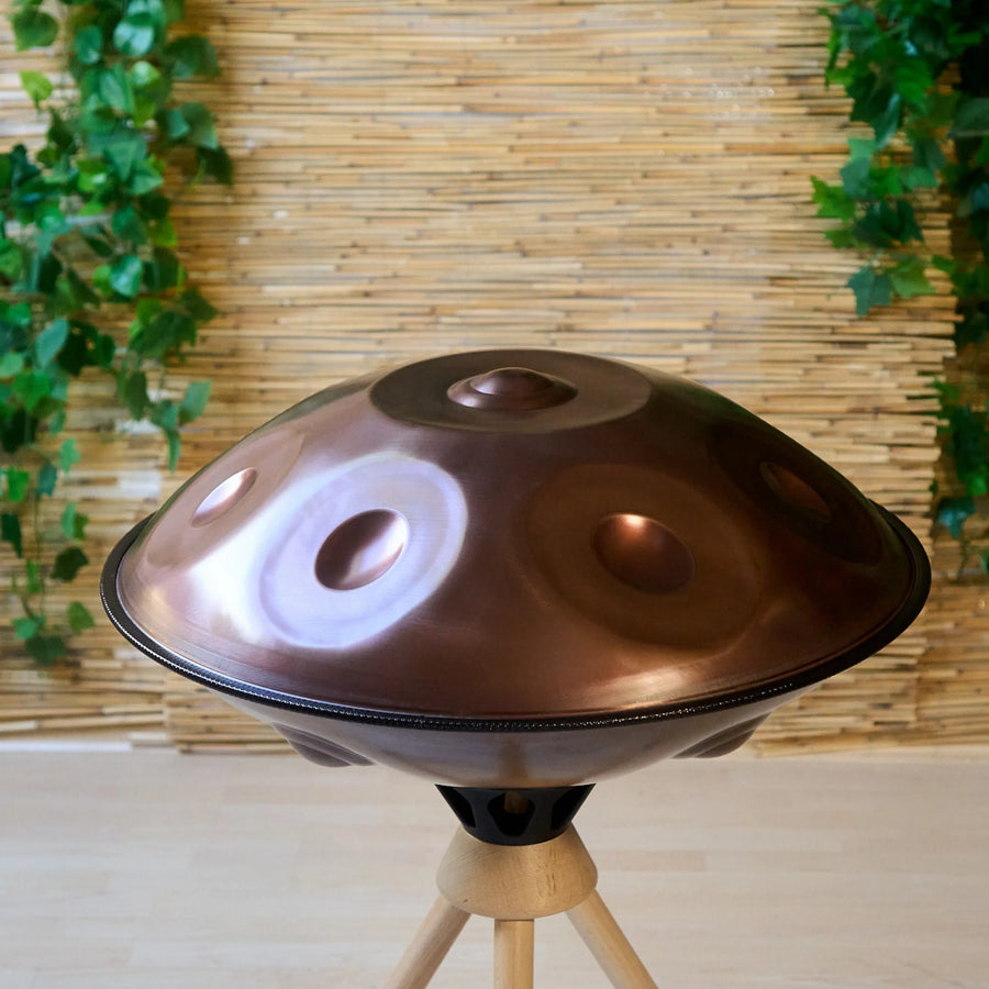 Handpan D Kurd 10 auf Holzständer im Wohnraum, Bambuswand mit Pflanzen – handpanladen
