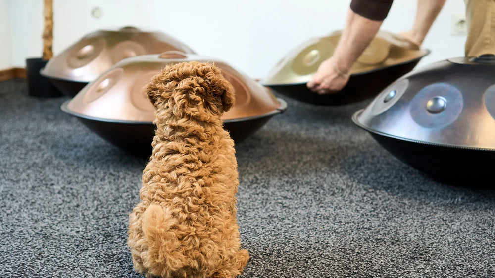 Jede Handpan wird in Balingen geprüft