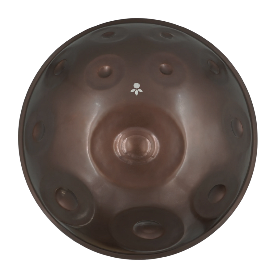 Handpan Master F# Low Pygmy 21, Prototyp-Einzelstück (gebraucht) – Draufsicht auf die Tonfelder, handpanladen
