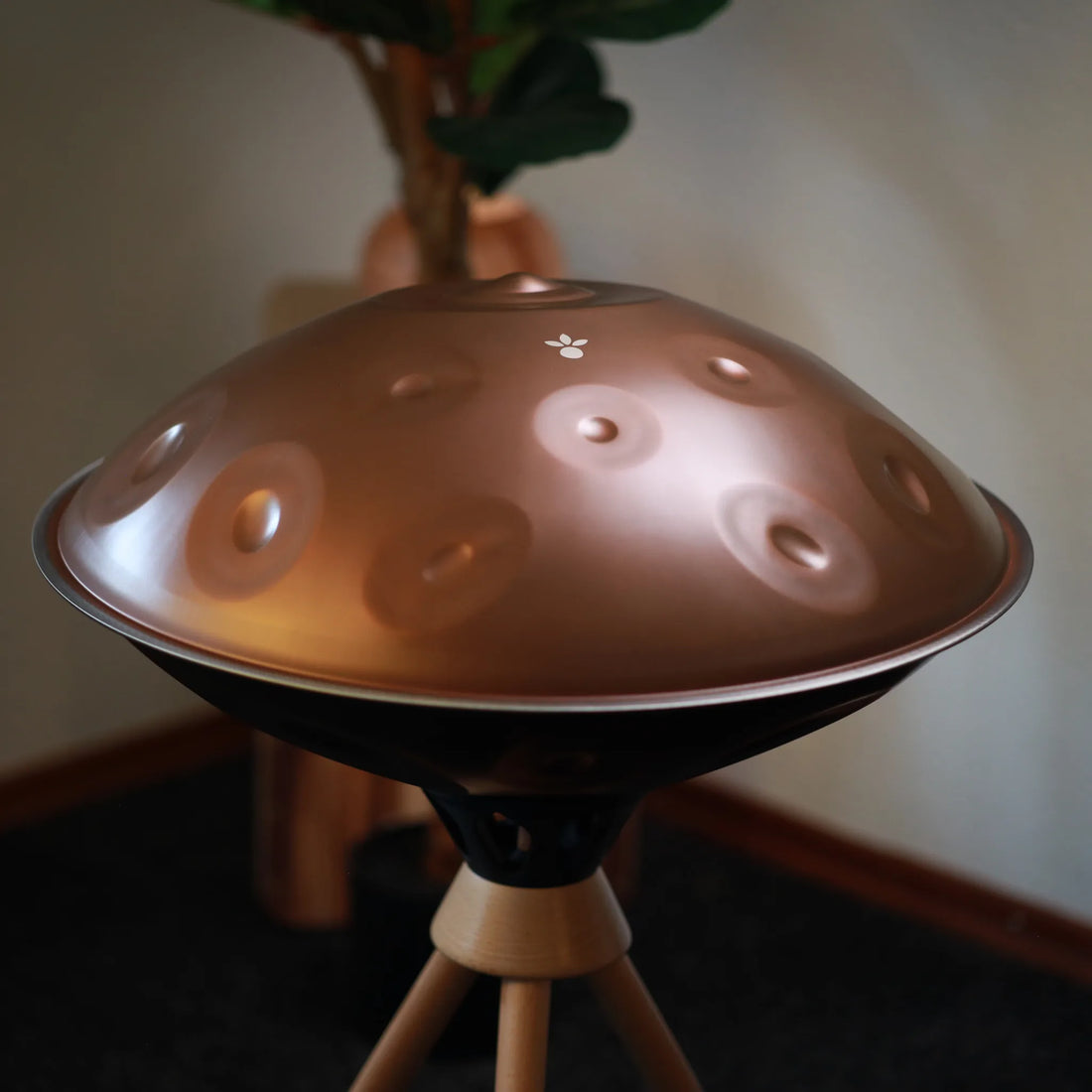 Handpan der Signature-Serie von oben