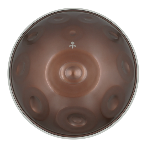 Handpan Signature D Ashakiran 19, Draufsicht auf die Tonfelder mit mattem braunem Finish – handpanladen